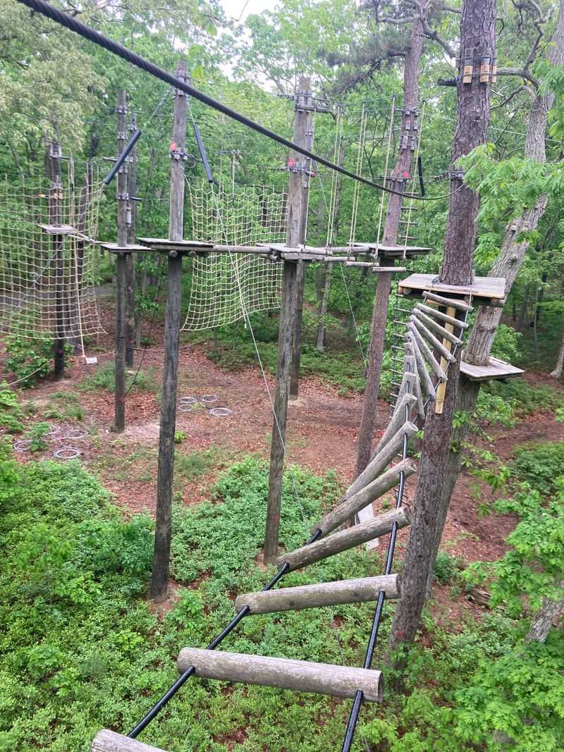 Additional Adventures With Treetop Courses And Activities
