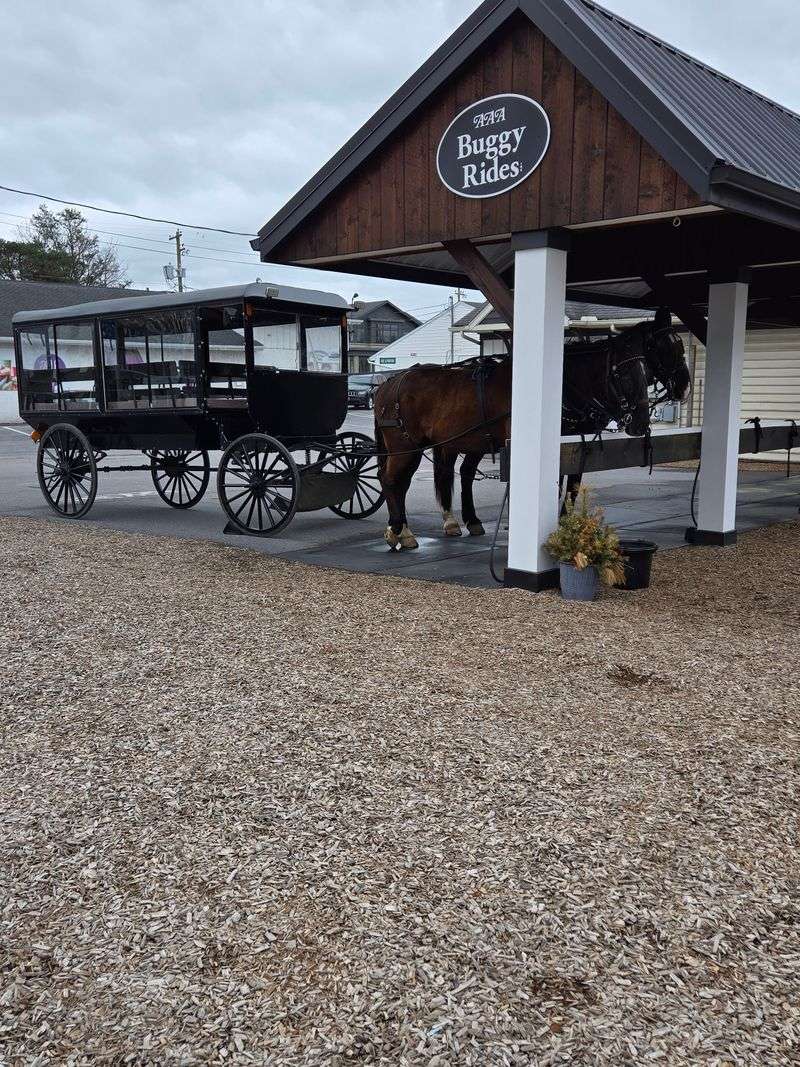 Tourism Exists Alongside, Not Within, Amish Life