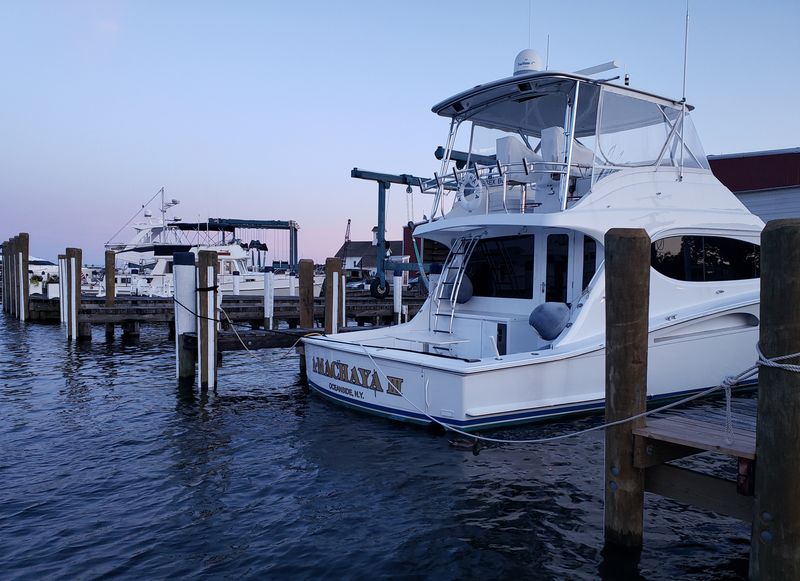 Environmental Strain on Harbor Ecosystem