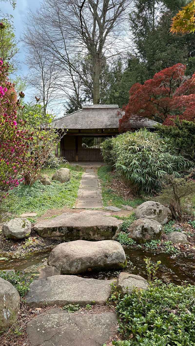 The Serene Meditation Garden: Your Personal Zen Zone