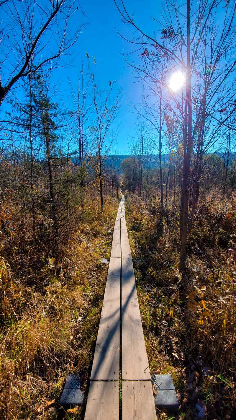 Limited Facilities Mean Planning Ahead