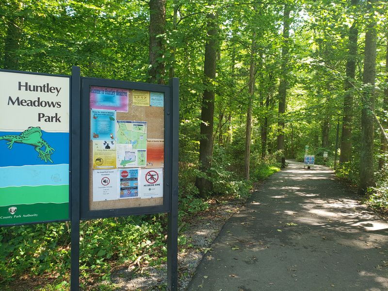 Practical Information for Planning Your Visit