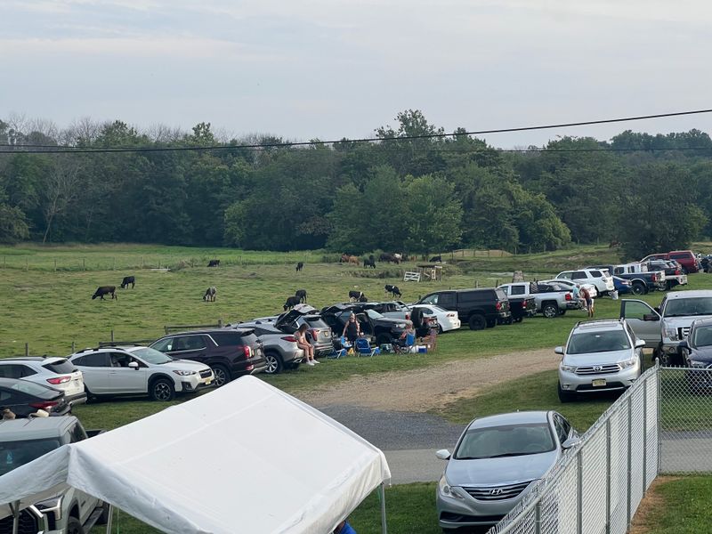 Parking and Exit Strategies to Know