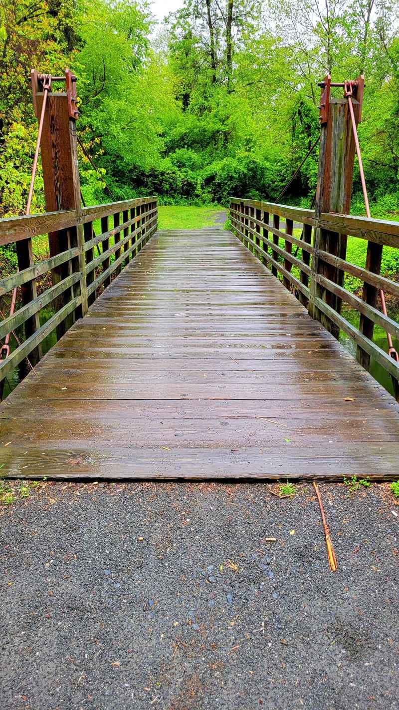 The Abbott Marshlands Bordentown Bluffs
