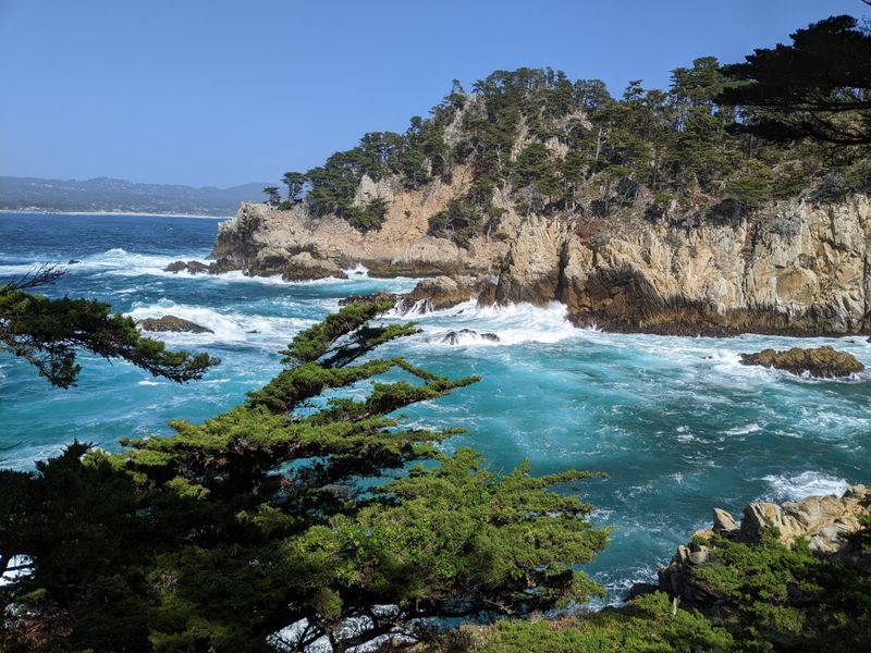 Point Lobos State Natural Reserve, Carmel-By-The-Sea