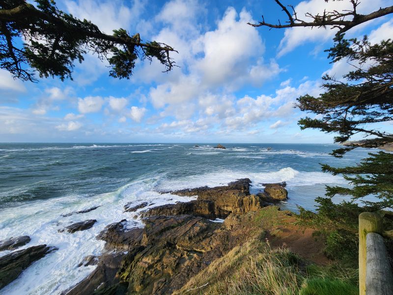 Cape Arago State Park