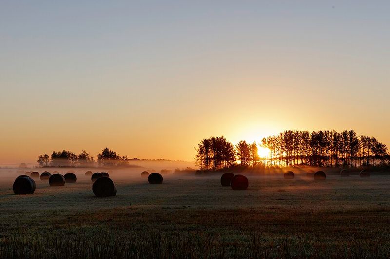 Sunrise Commutes That Start On Quiet Lanes