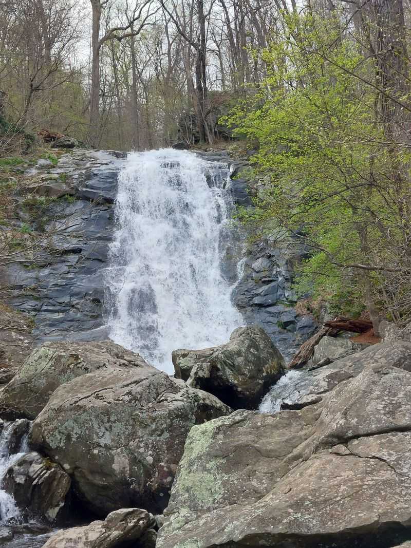Whiteoak Canyon Falls