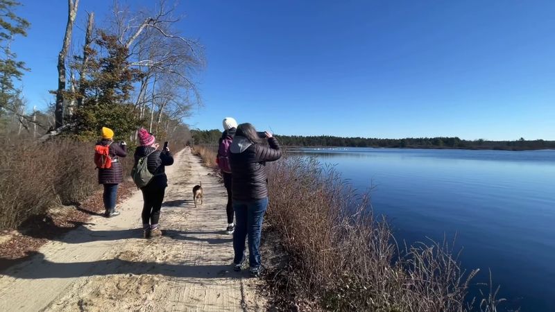 Miles of Tranquil Walking Trails