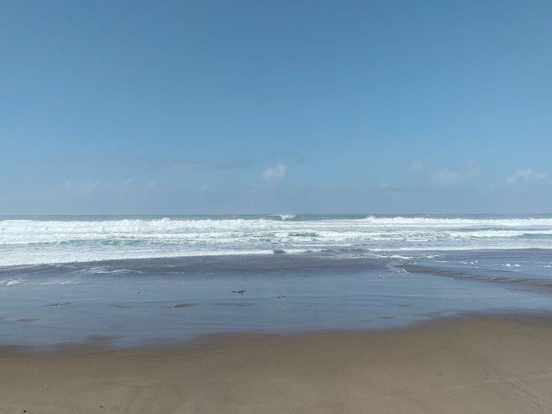 The Oregon Coast’s Public Access Tradition