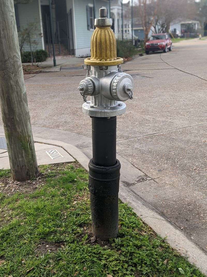 Tying An Alligator To A Fire Hydrant Is Illegal