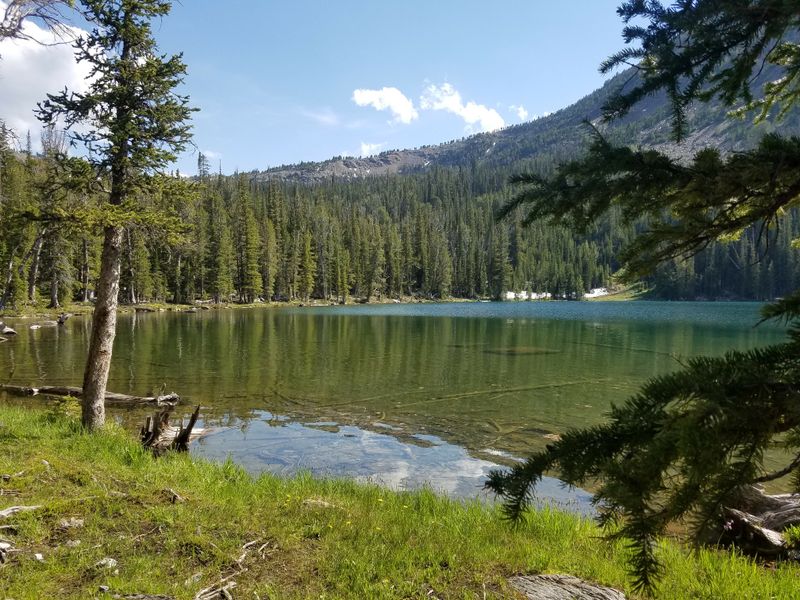 Beaverhead-Deerlodge National Forest