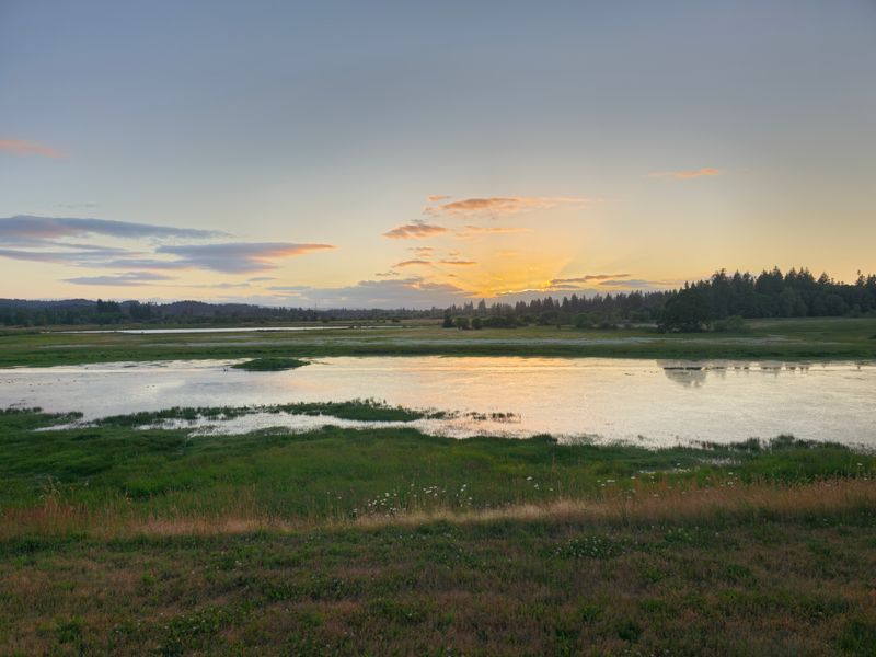 Observe Wildlife at Tualatin River National Wildlife Refuge