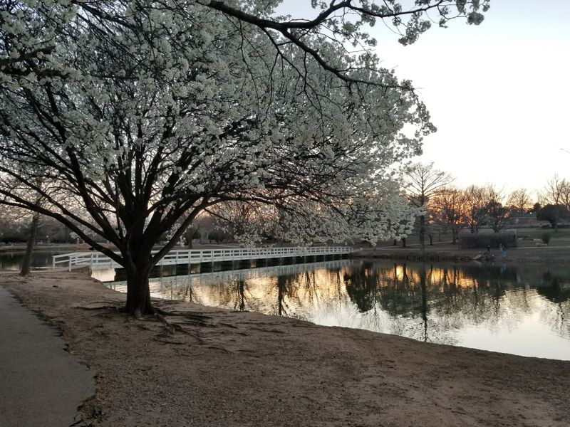 Transforming Ordinary Space Into Winter Wonderland