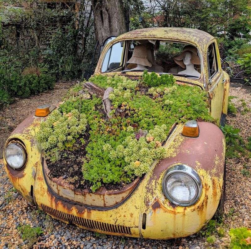 An Outdoor Village of Charming Little Cabins