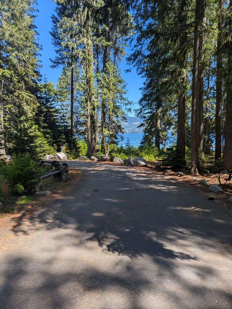 First Impressions That Linger