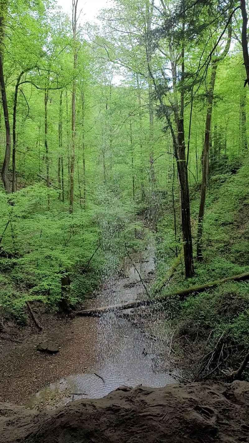 Peaceful Atmosphere and Minimal Crowds