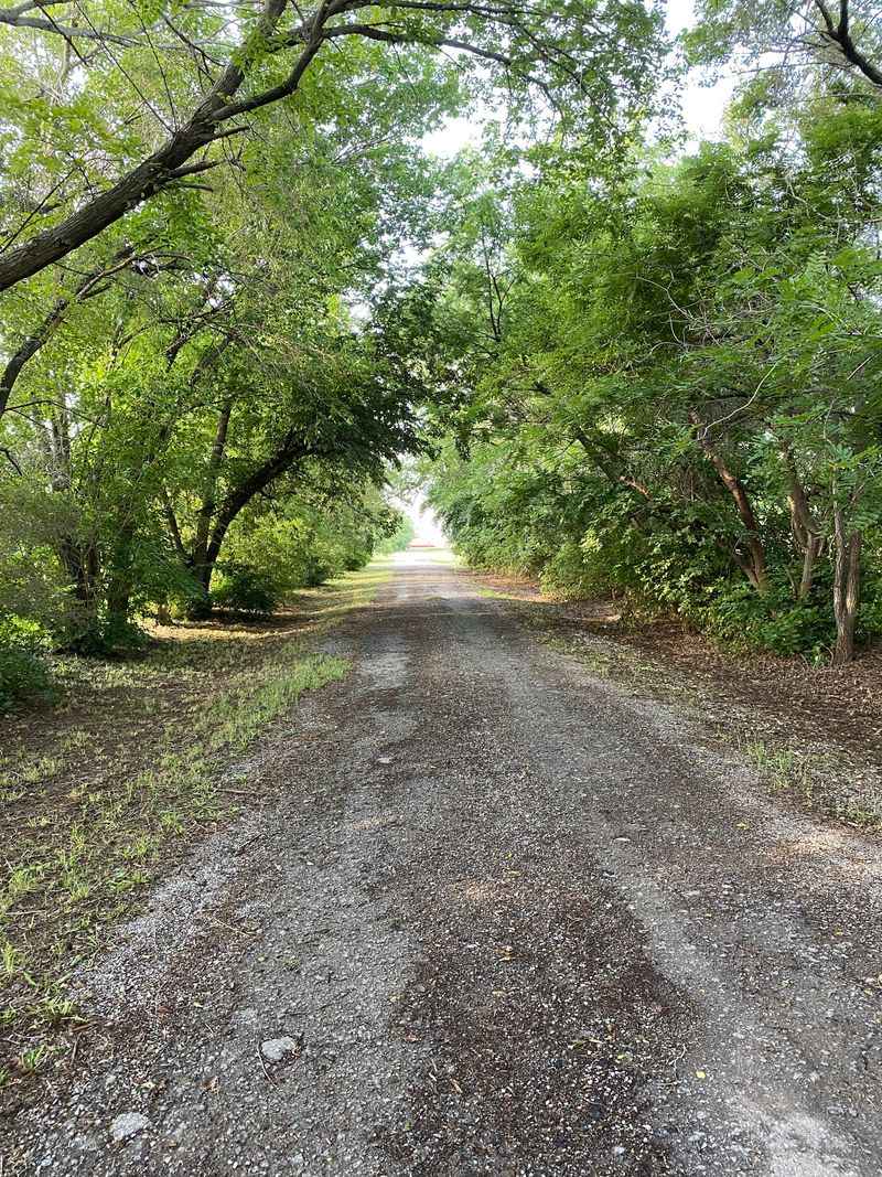 Comfort Food That Feels Like Home