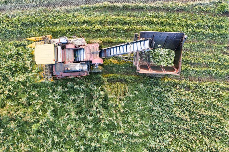 Businesses Replace Farms More Often Near Tourist Centers