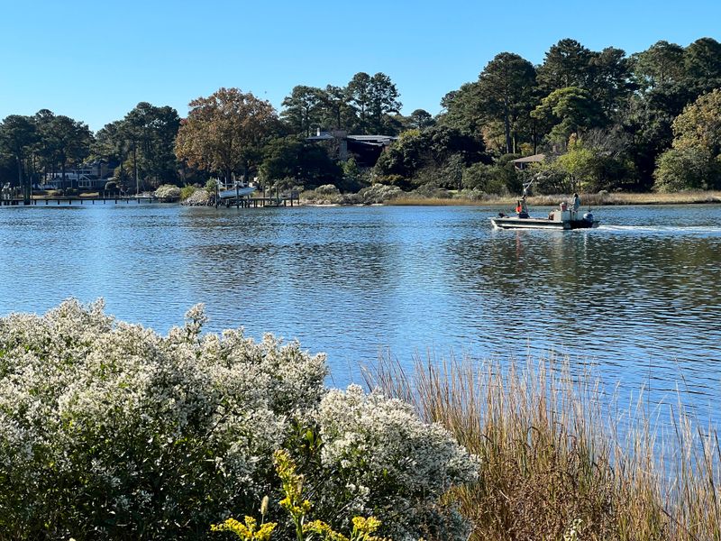 Kayaking Adventures With Dolphins As Your Tour Guides