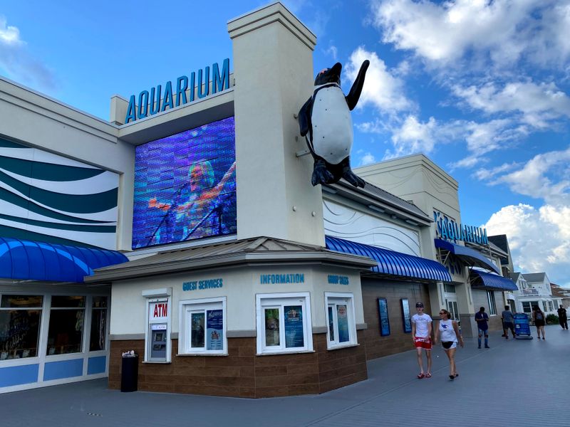 Boardwalk Location Combines Beach Day with Indoor Adventure