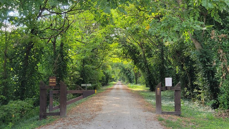 Day One Late Morning: Katy Trail Between Vineyards