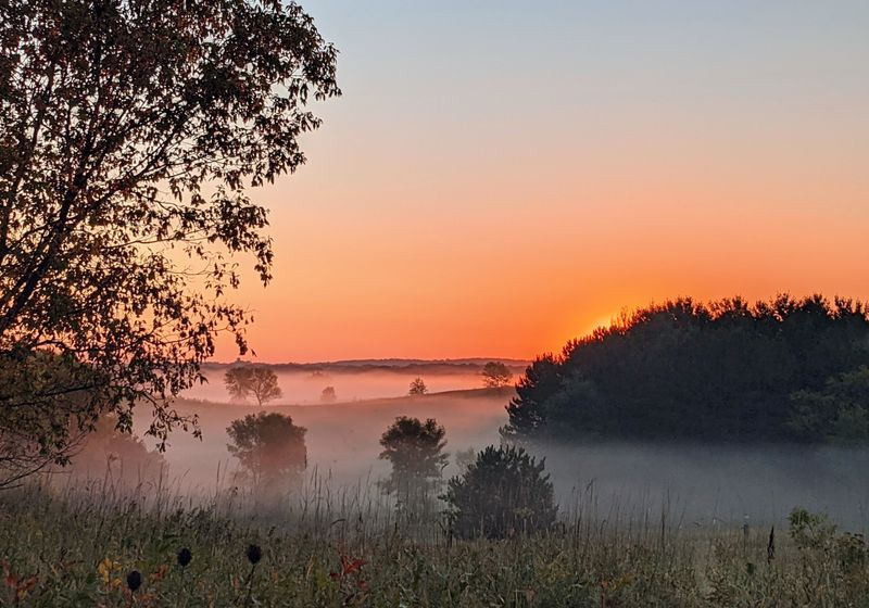 Day One Late Morning: Back Roads Toward Cannon Falls