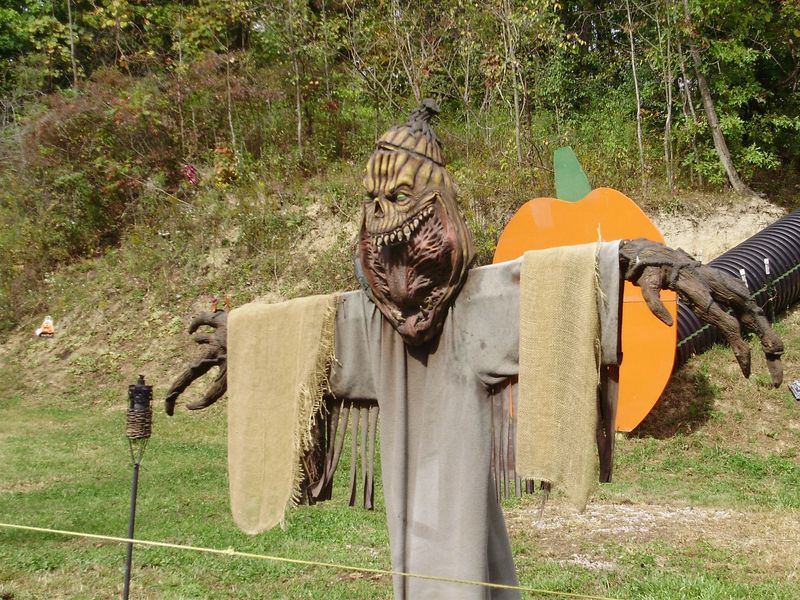 Seasonal Fall Energy Everywhere