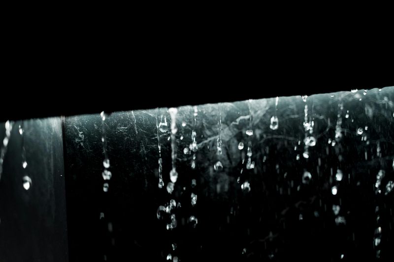 Hurricane Reality Keeps Growth Cautious