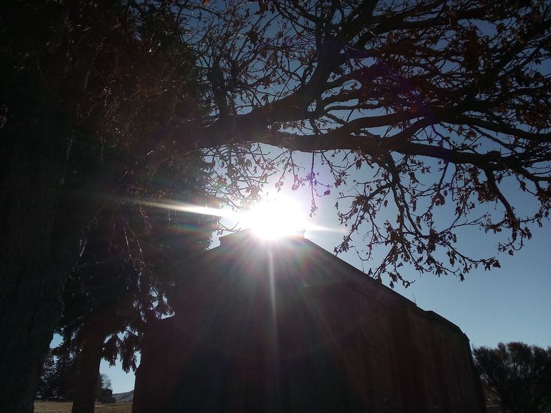 Geological Treasures Including Oregon's State Rock