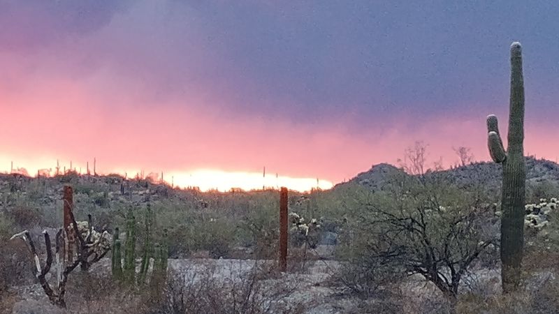 Stargazing That Stops Conversations Mid-Sentence