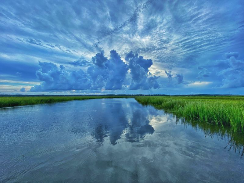 Commercial Tours at Kayak Launch, James Island County Park