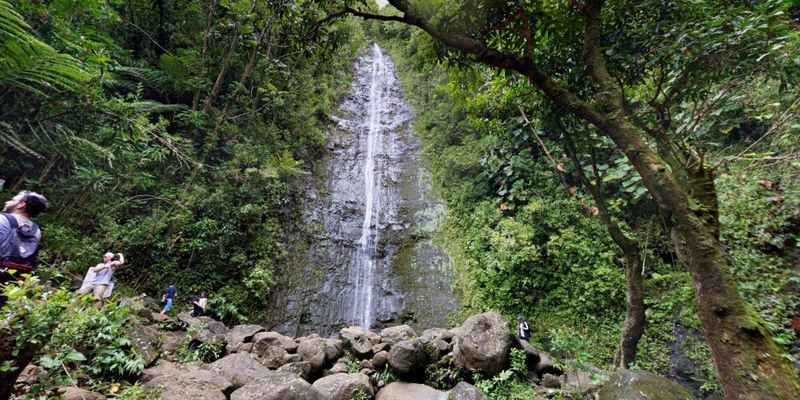 Manoa Falls Trail in Honolulu