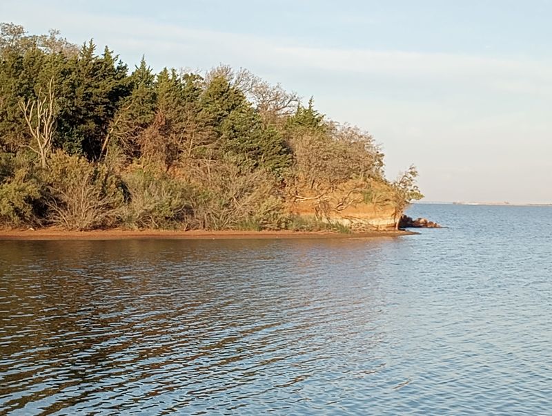 Bird Watching Reaches World-Class Levels Here