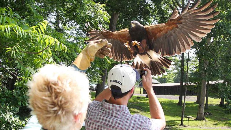 Adventure Activities Beyond the Expected