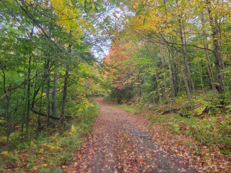 Trails That Drew People Deeper Into The Hills