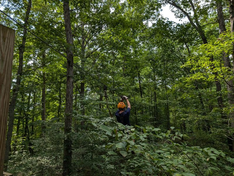Zip Through the Trees at Zip Line Tours
