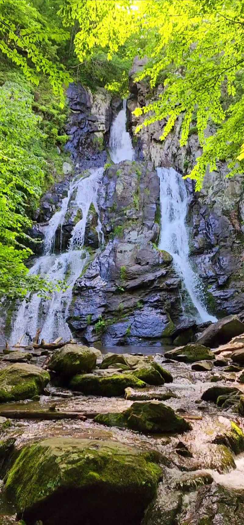 South River Falls