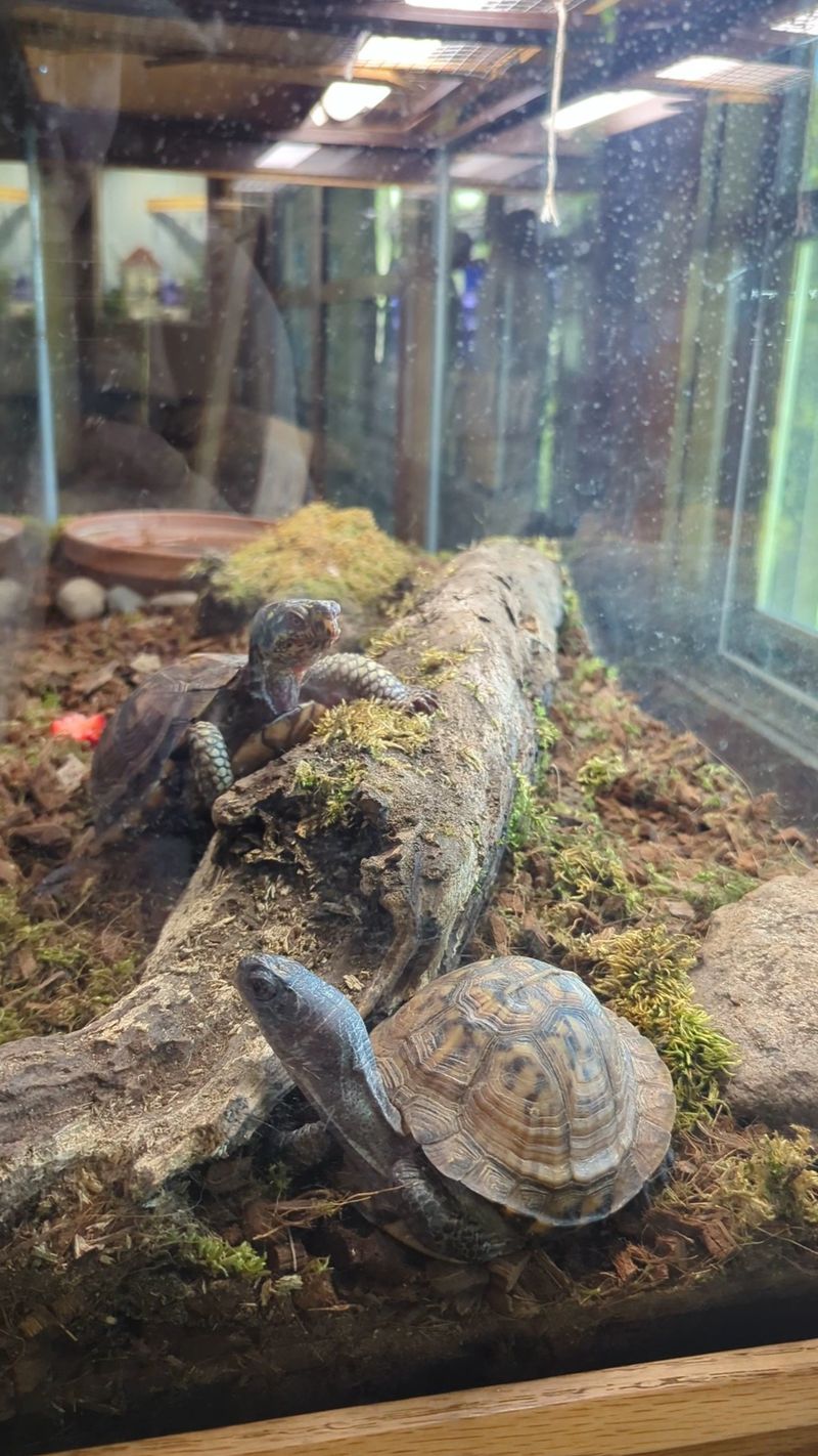 Educational Nature Center with Wildlife Exhibits