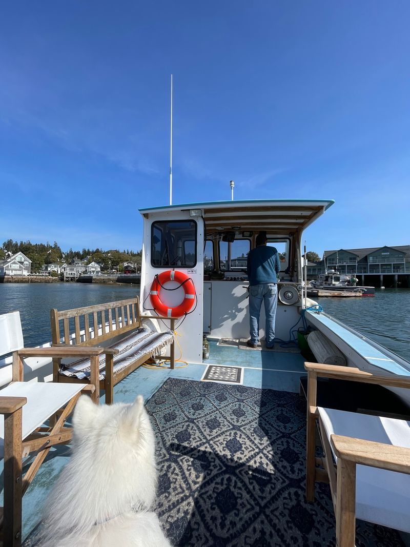 Boat Movement Slows To Almost Nothing