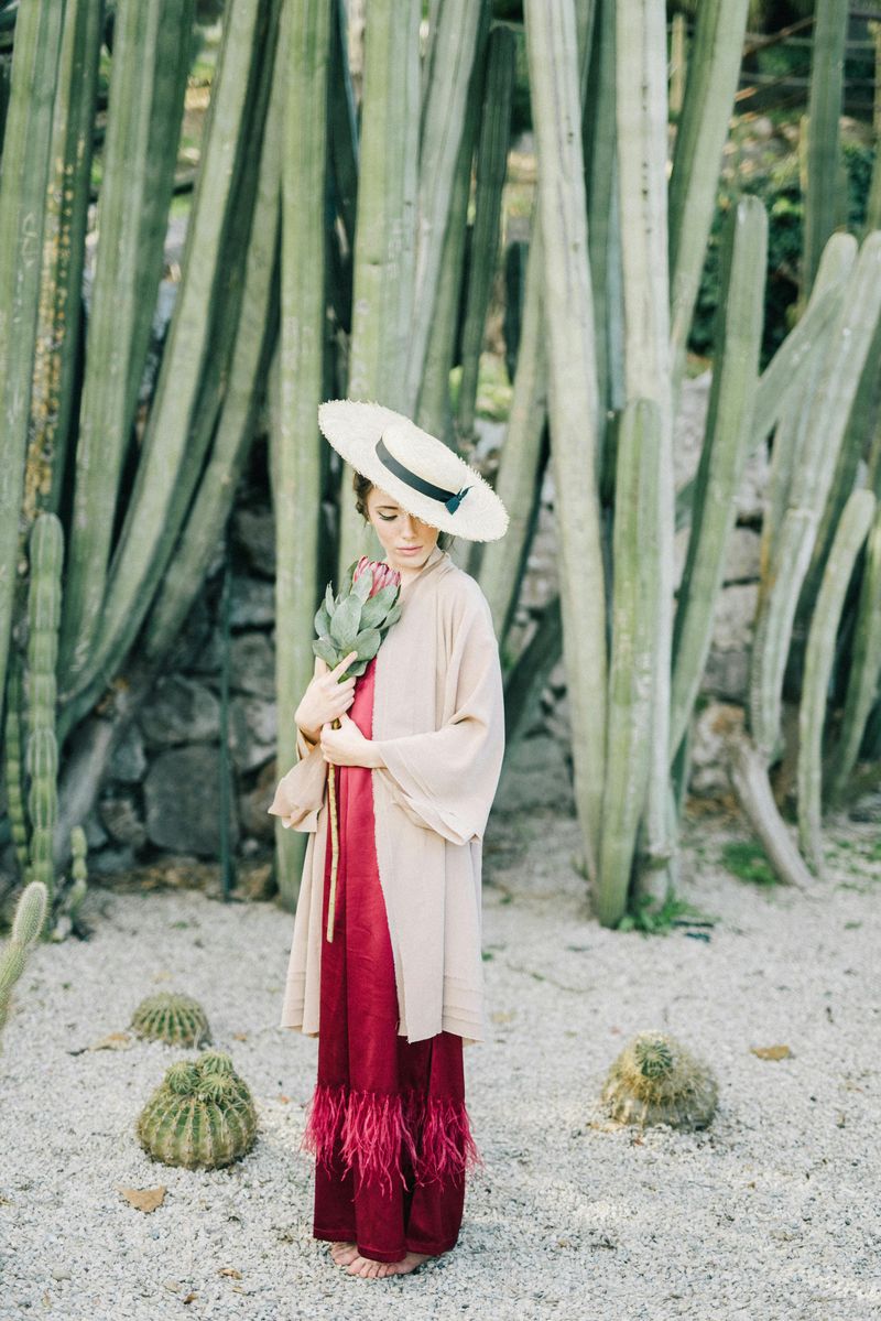 No Cutting Down Cactus