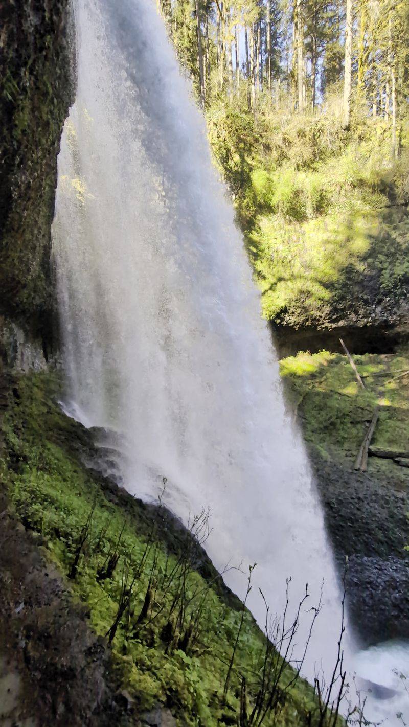 Seasonal Transformations