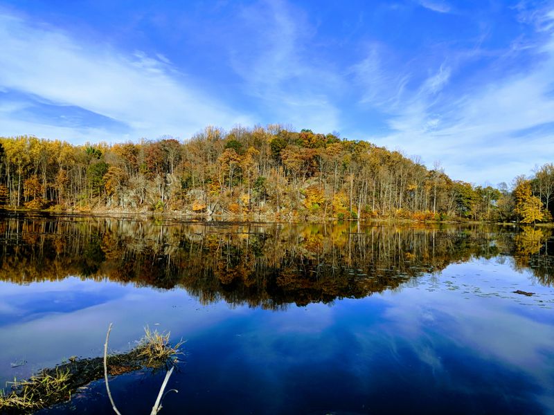 Jenny Jump State Forest