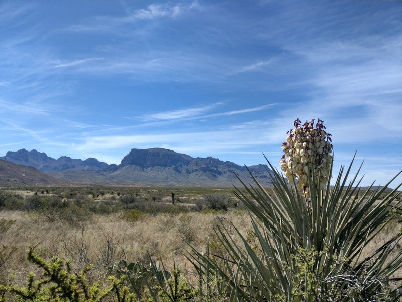 Davis Mountains Scenic Loop