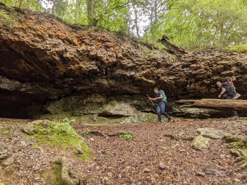 Ouachita National Forest: Wilderness at Your Doorstep