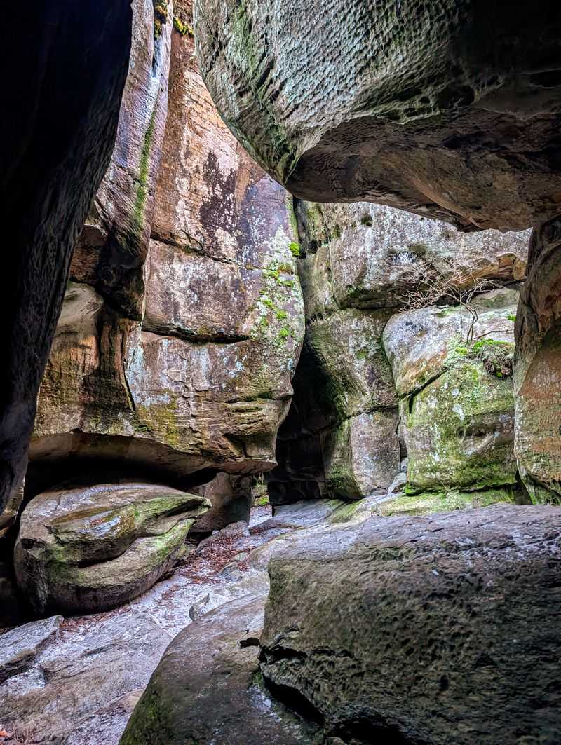 Channels Natural Area Preserve