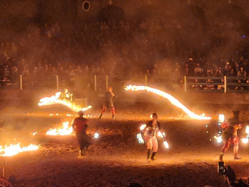 Fire Shows That Light Up the Night