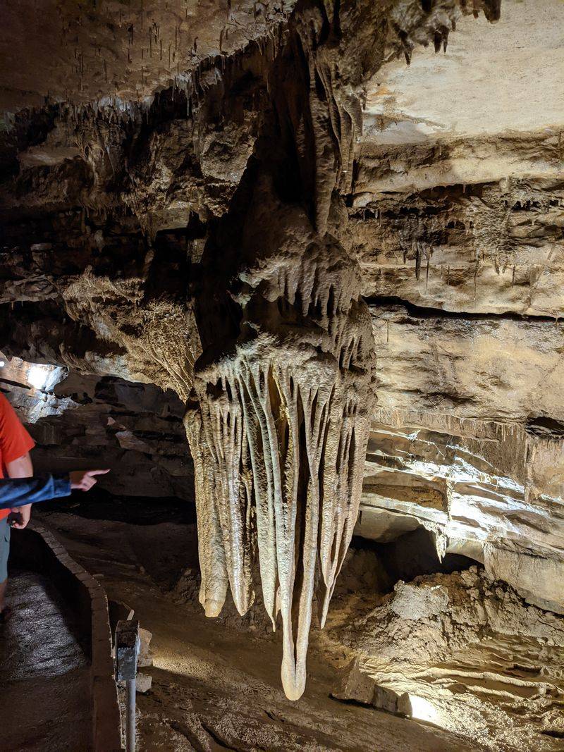 Knowledgeable Tour Guides Transform Underground Exploration Into Unforgettable Storytelling
