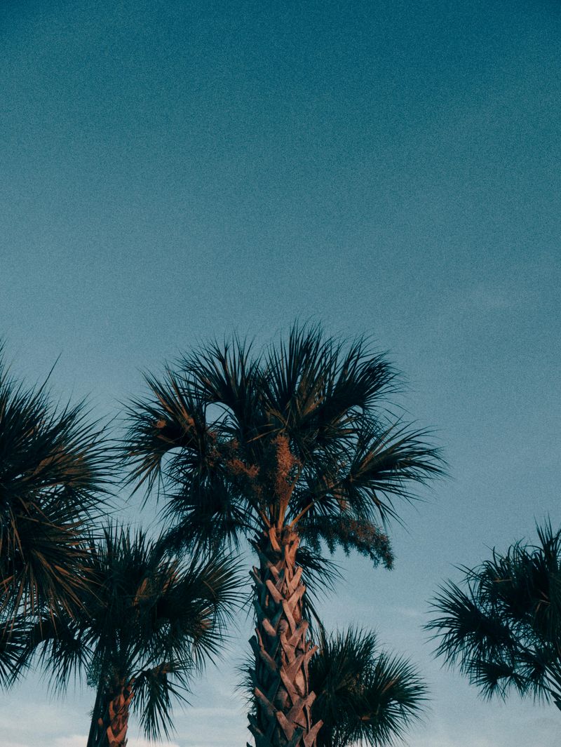 People Live Here, It Is Not A Theme