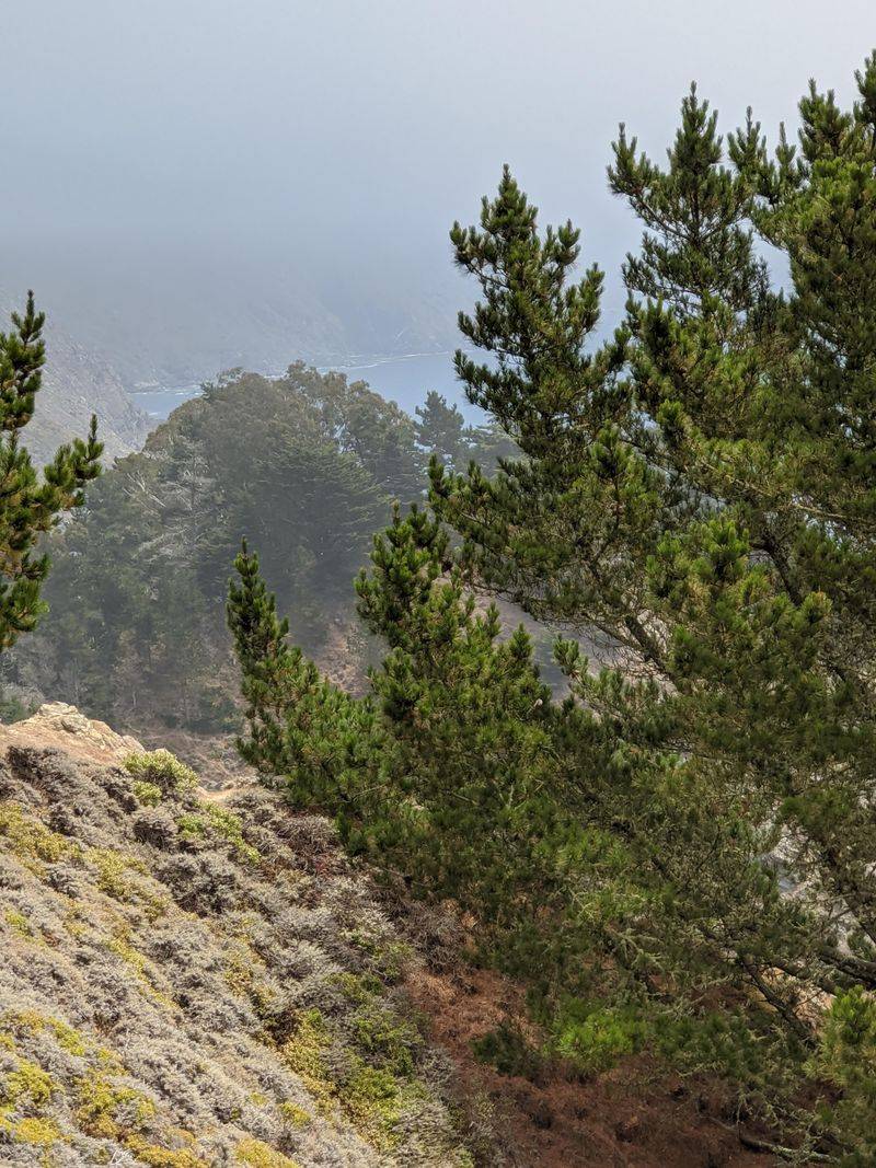 Where The Forest Begins To Close In Around The Road